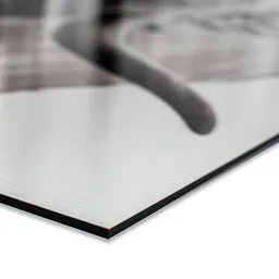 a-spatscherm-closeup-541a.png