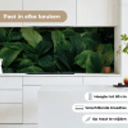 Natuur - Tropisch - Bladeren - Groen keuken achterwand 2 middel -sfeer4_NL