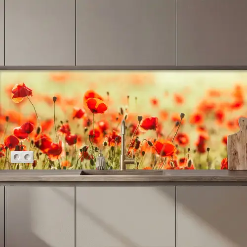 Klaprozen - Bloemen - Rood - Bloemenveld keuken achterwand 2 middel zz_3dshopping