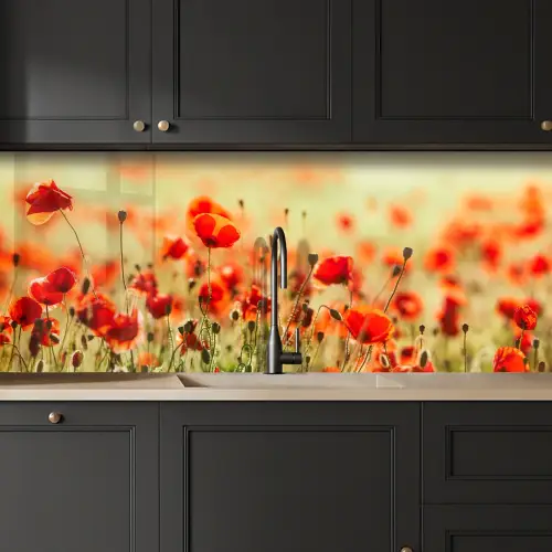 Klaprozen - Bloemen - Rood - Bloemenveld keuken achterwand 2 middel -sfeer1