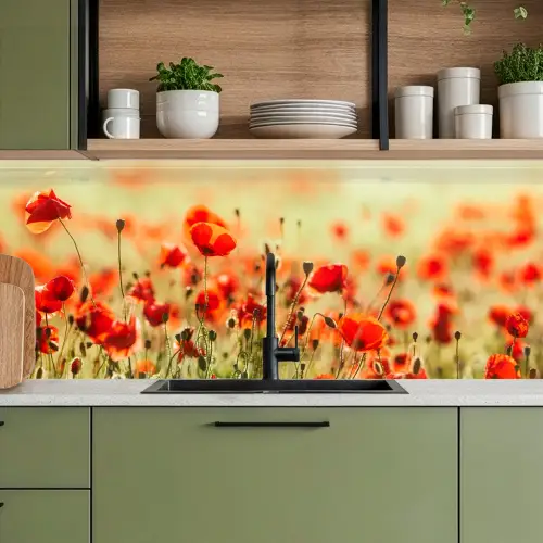 Klaprozen - Bloemen - Rood - Bloemenveld keuken achterwand 2 middel -sfeer3