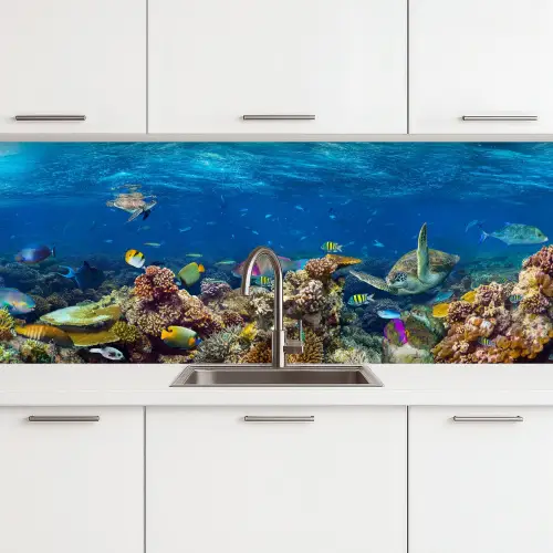 Onderwaterlandschap - Vissen - Schildpad - Blauw keuken achterwand 2 middel -3d