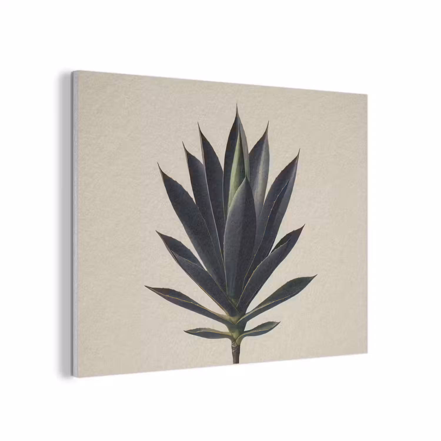 Agaveplant - Symmetrisch - Groen PET vilt klein -3d
