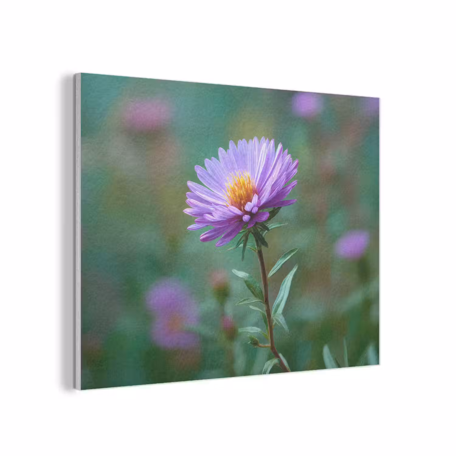 Aster - Paars - Bloem - Blaadjes PET vilt klein -3d