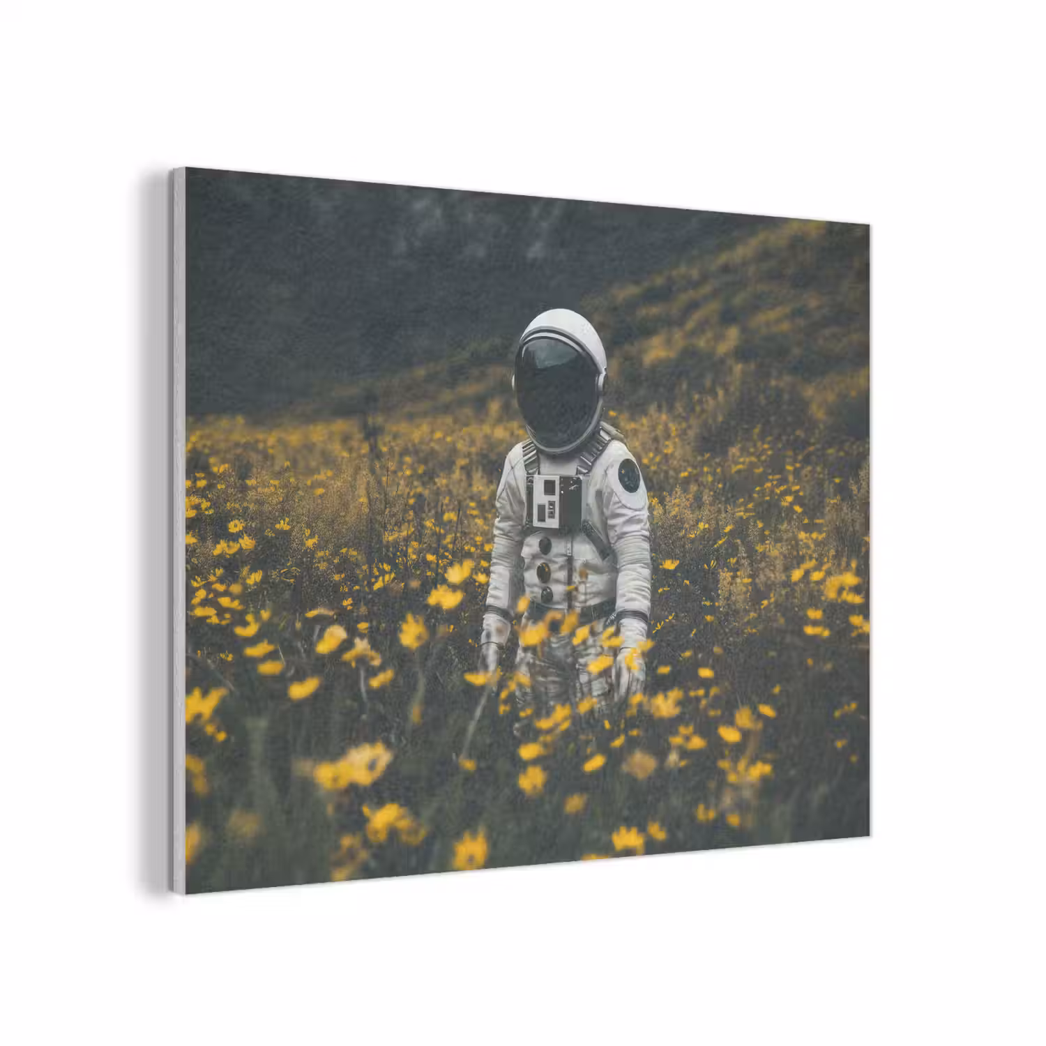 Astronaut - Bloemen - Veld - Geel PET vilt klein -3d