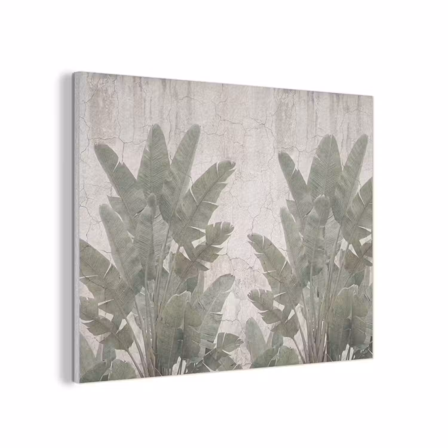 Bananenbladeren - Beton - Groen PET vilt klein -3d
