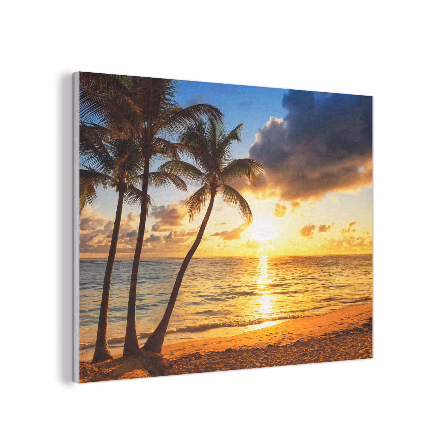 Strand - Horizon - Zonsondergang - Palmboom - Zee PET vilt klein -3d
