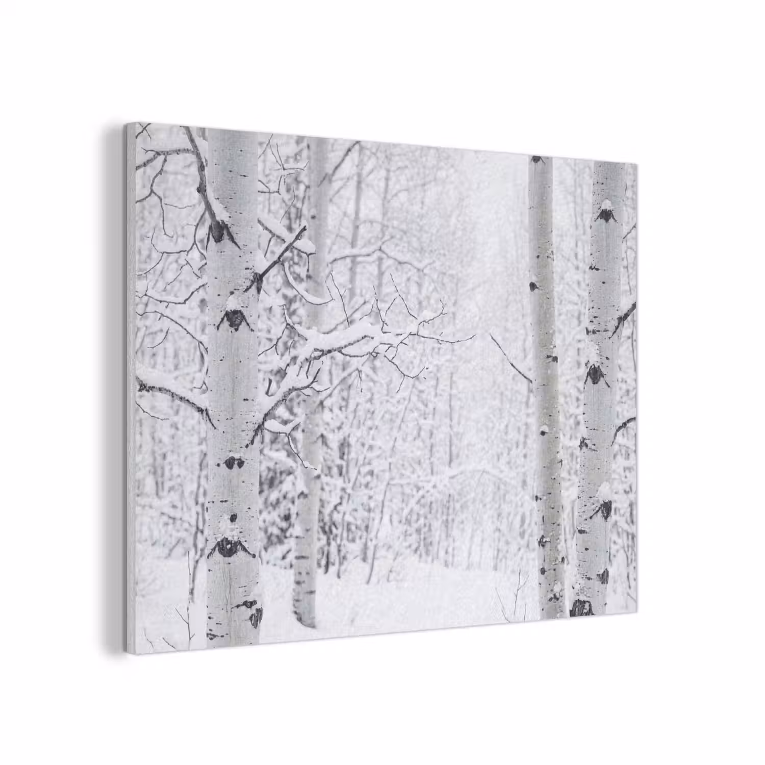 Berkenbomen - Sneeuw - Winter - Bos - Wit PET vilt klein -3d