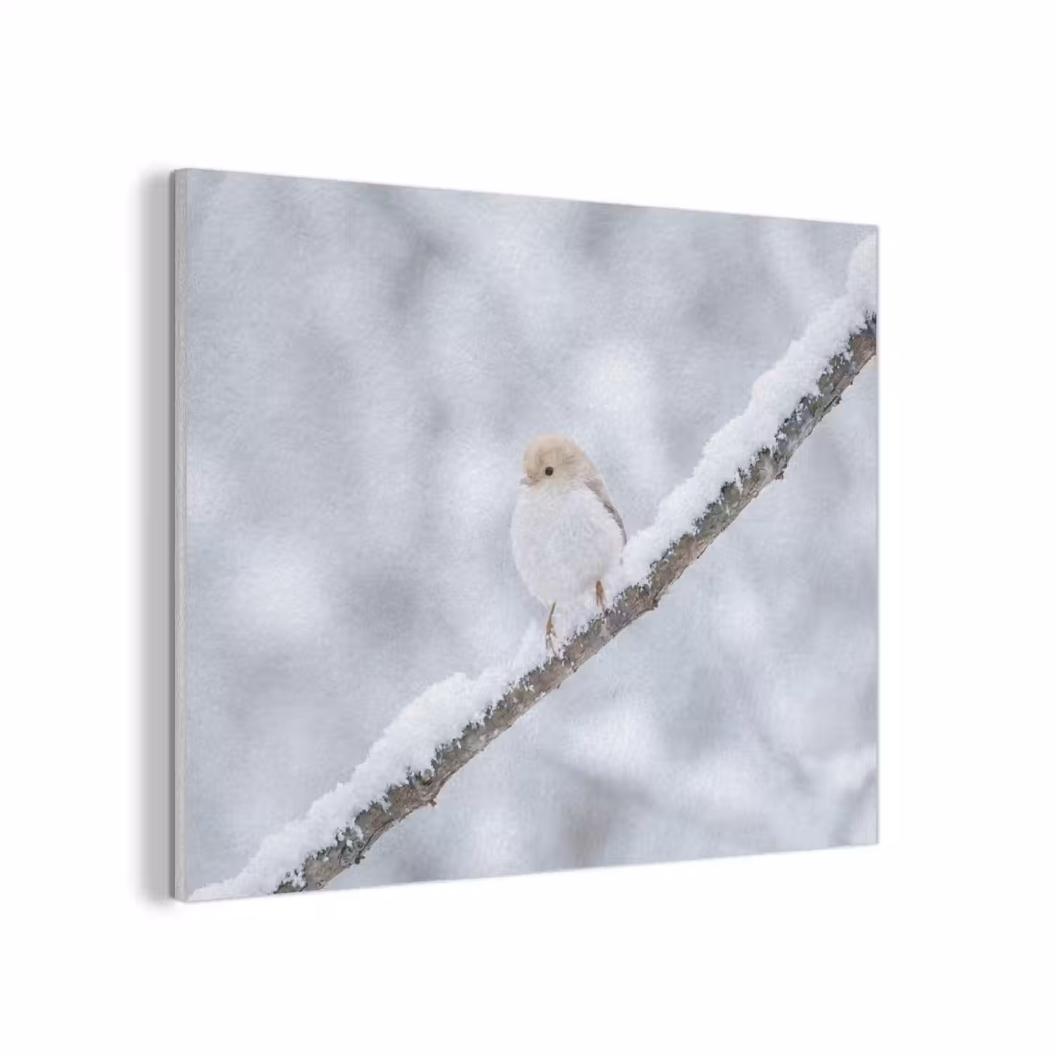 Vogeltje - Sneeuw - Tak - Winter - Zacht PET vilt klein -3d
