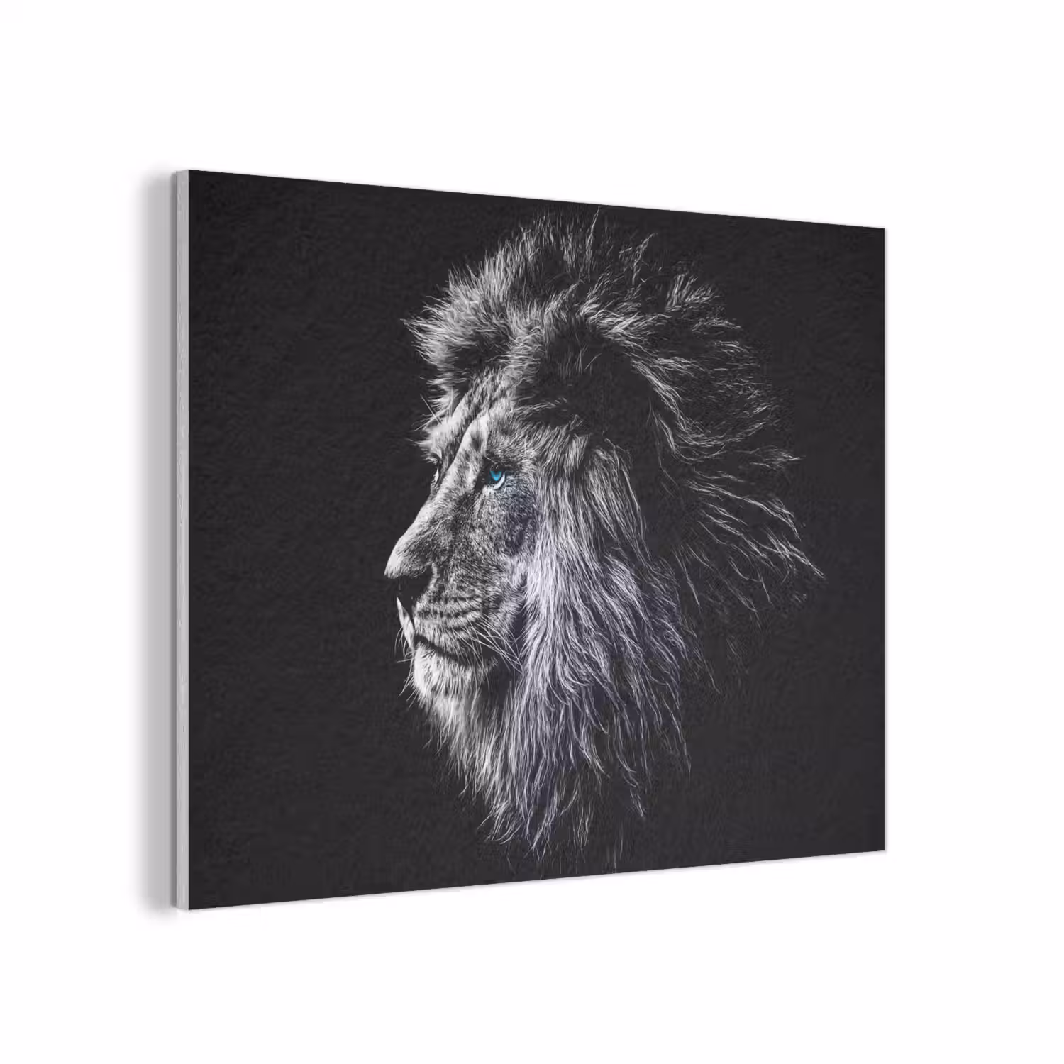 Zwart Wit - Leeuw - Kop - Dieren PET vilt klein -3d