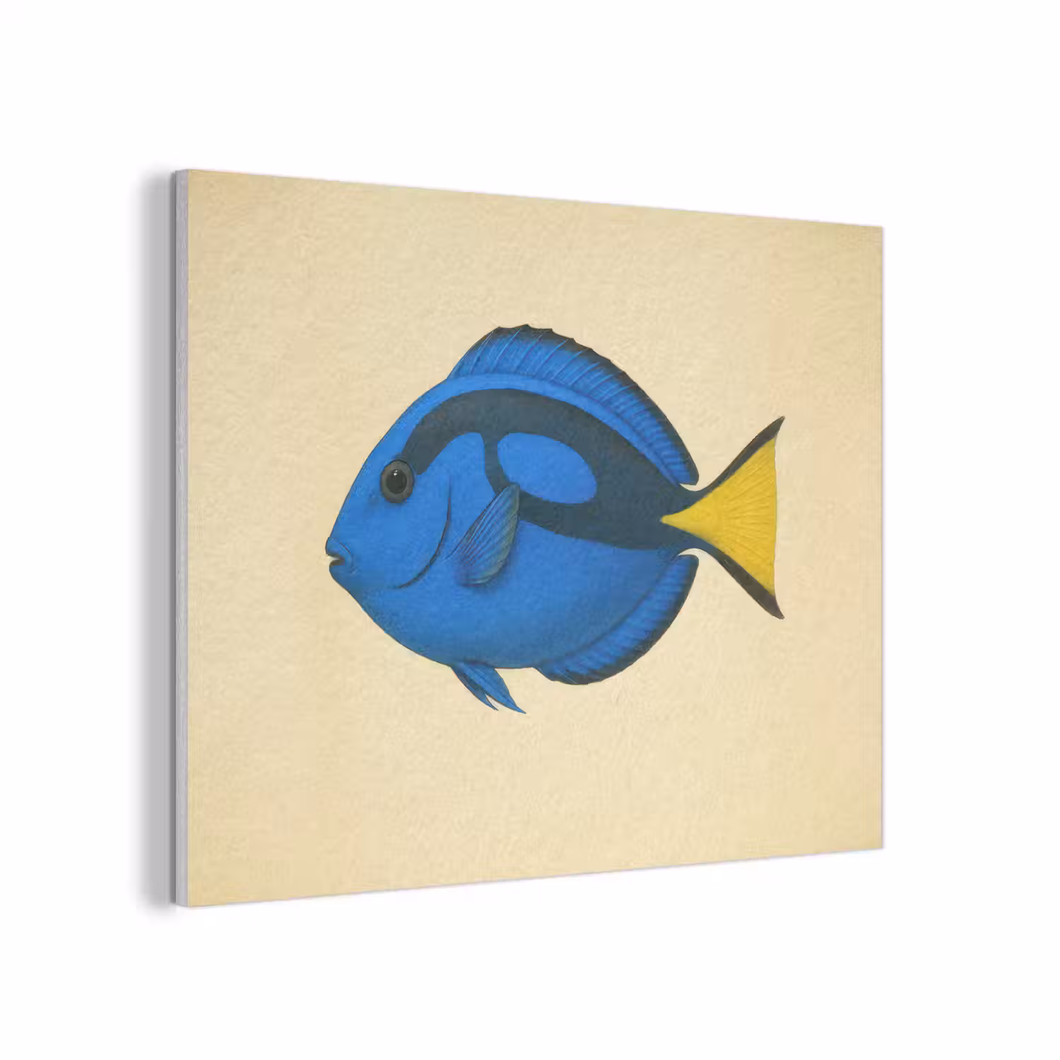 Blauw - Dory - Vis - Staartvin PET vilt klein -3d