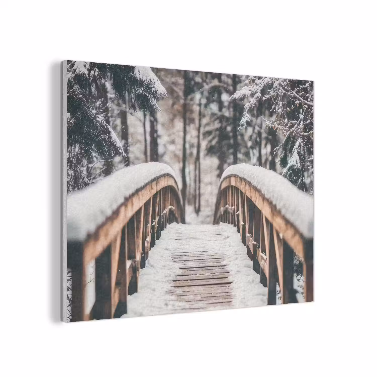 Brug - Winterlandschap - Bos - Natuur - Sneeuw PET vilt klein -3d
