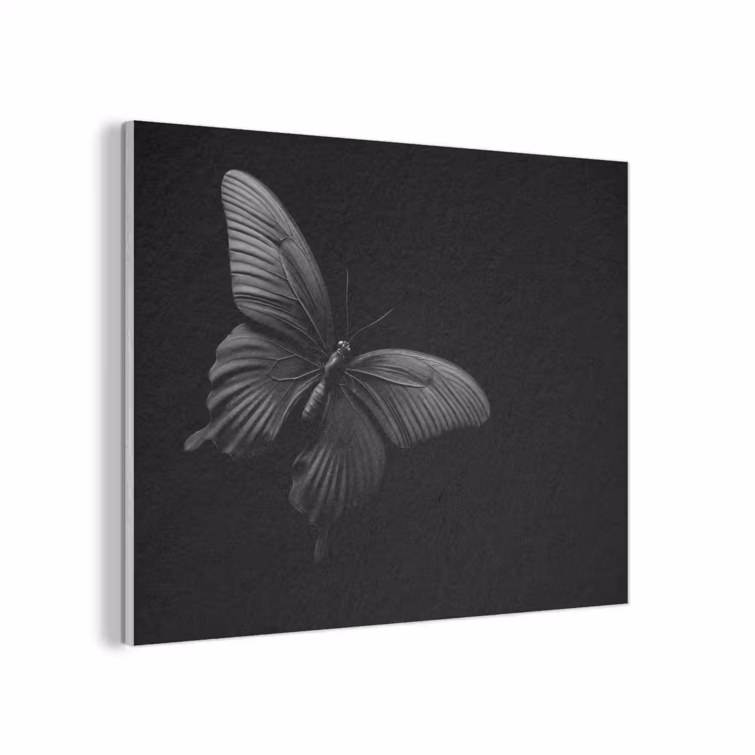 Vlinder - Zwart - Insect - Dieren PET vilt klein -3d