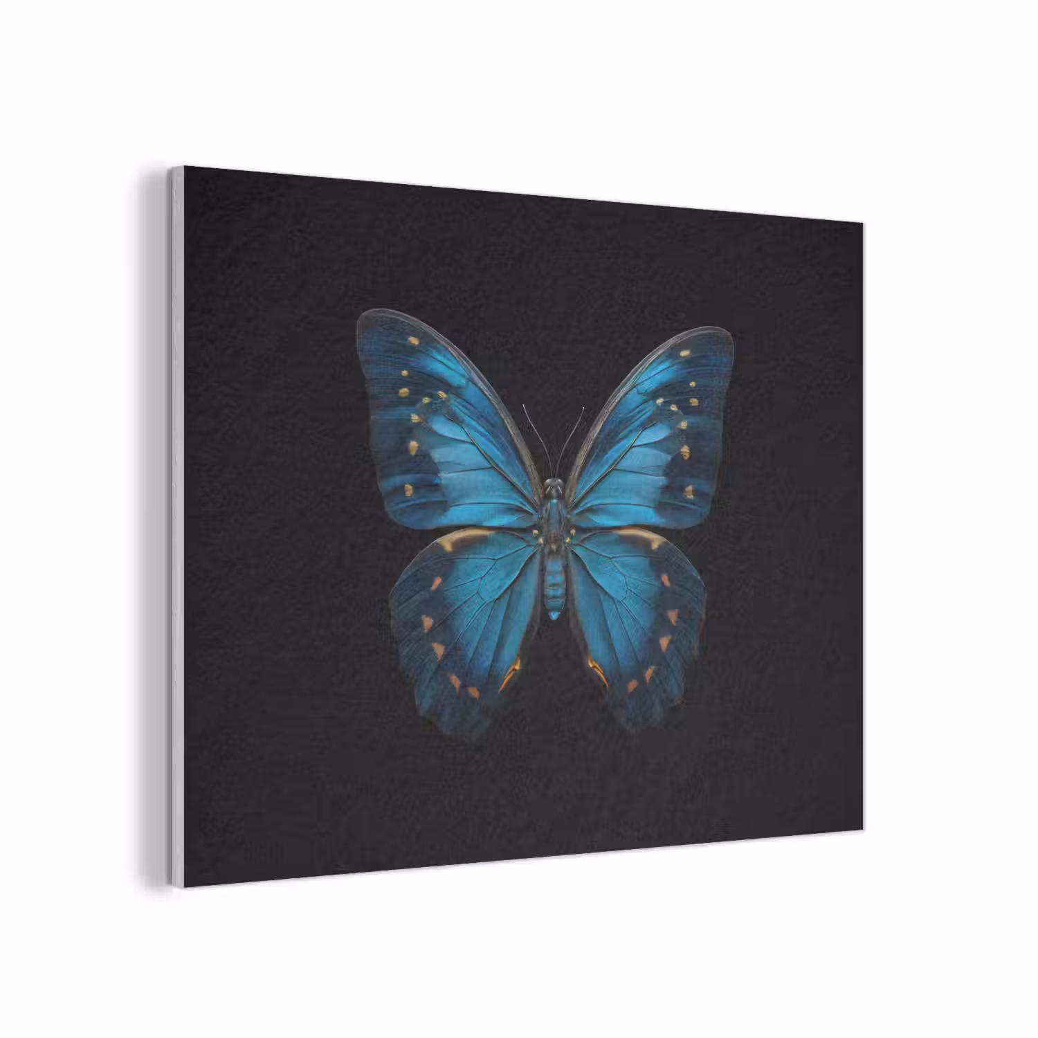 Vlinder - Blauw - Contrast PET vilt klein -3d