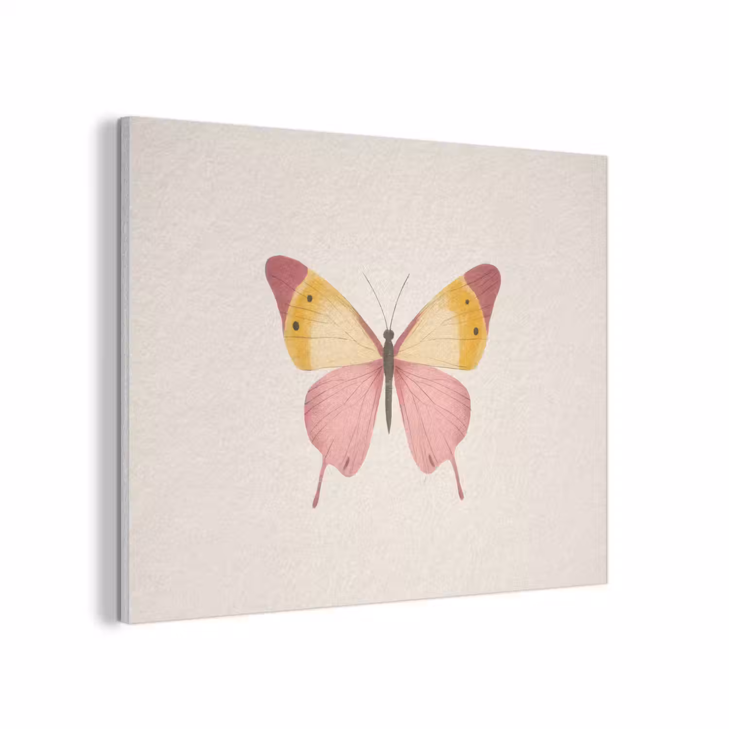 Vlinder - Illustratie - Roze PET vilt klein -3d