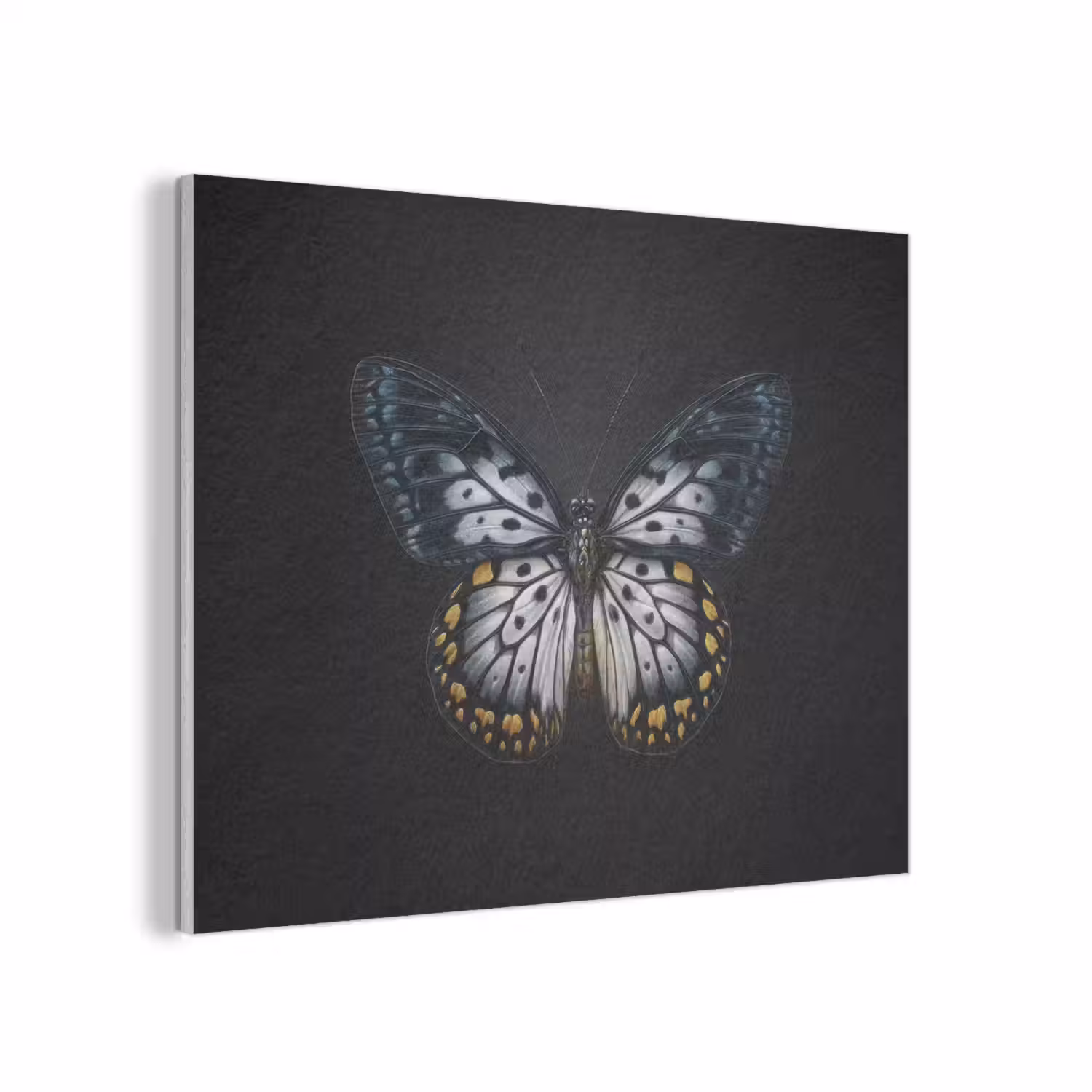 Vlinder - Monochroom - Balans PET vilt klein -3d