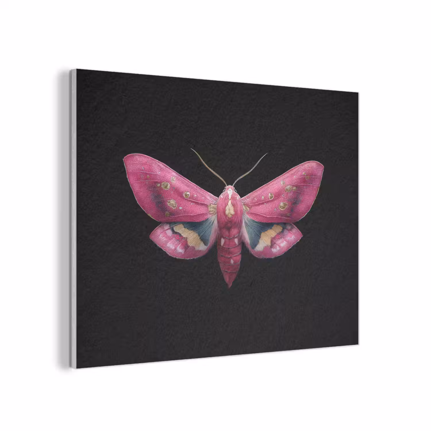 Vlinder - Roze - Nachtvlinder PET vilt klein -3d