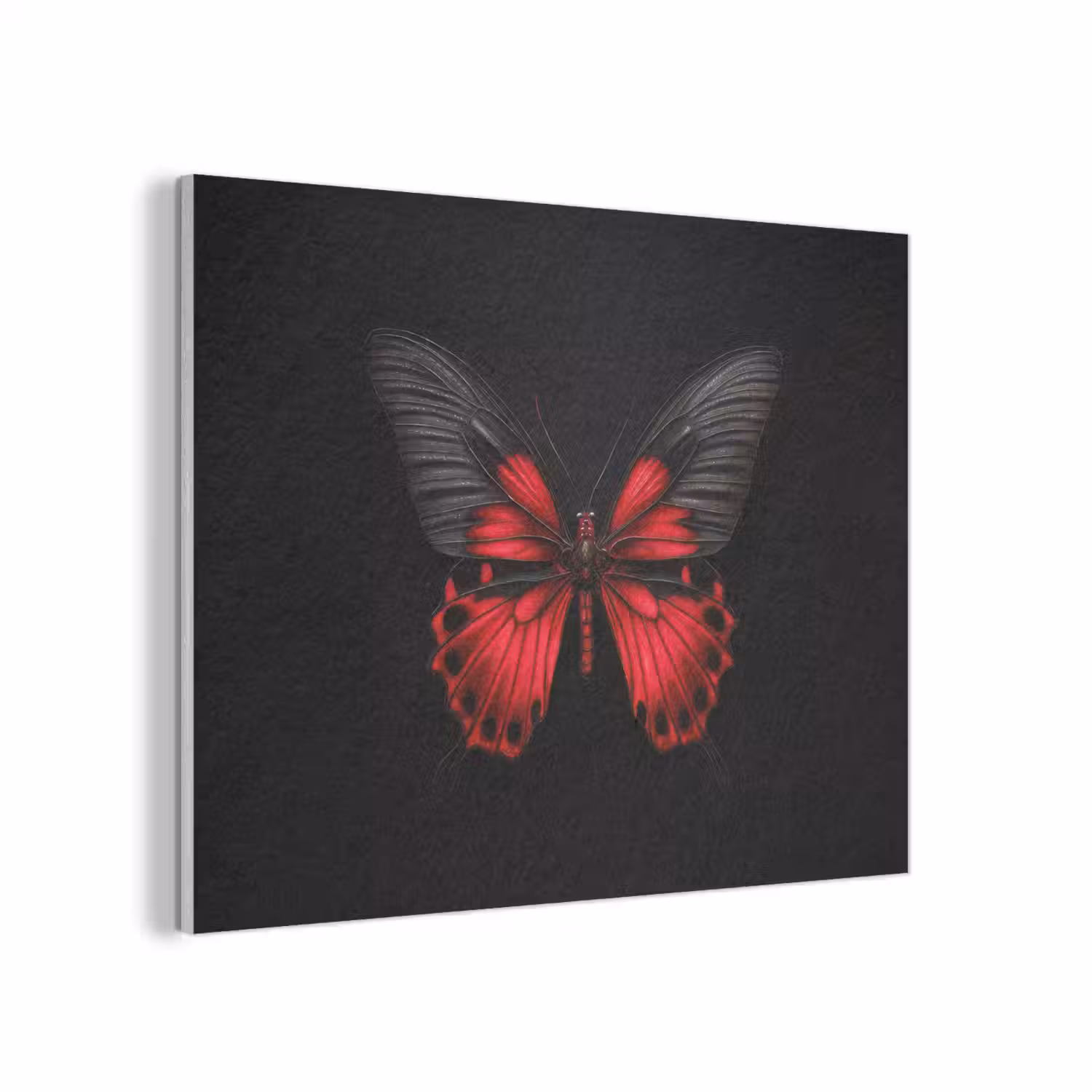 Vlinder - Rood - Contrast PET vilt klein -3d
