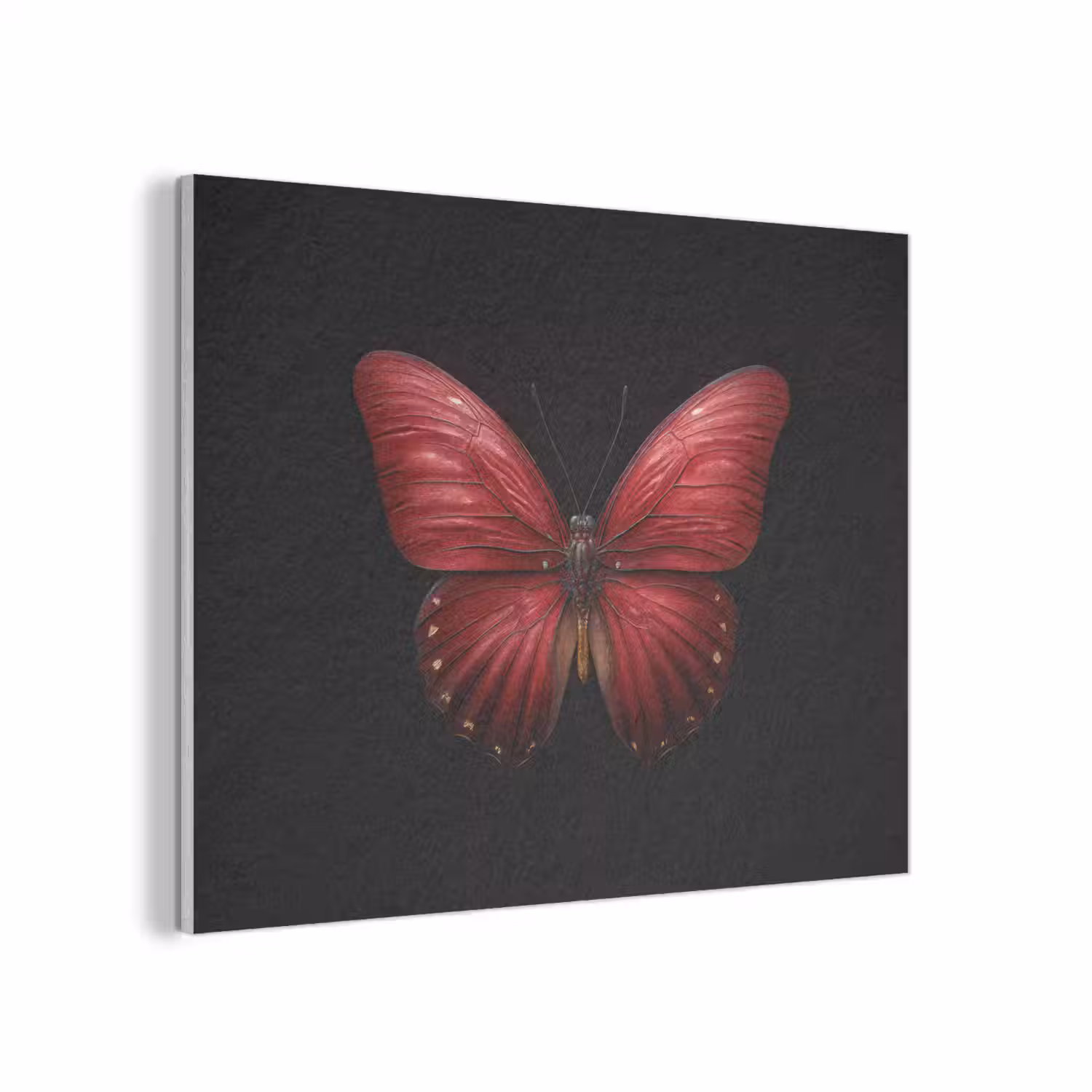 Vlinder - Rood - Minimalistisch PET vilt klein -3d