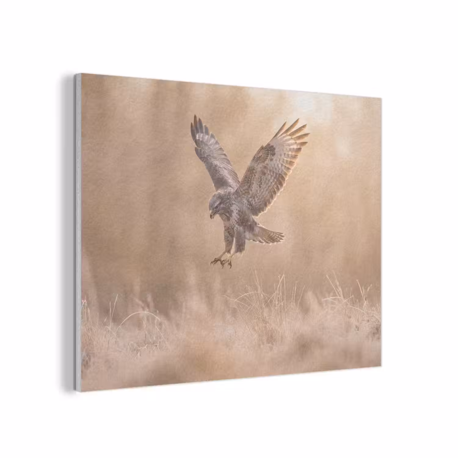 Buizerd - Roofvogel - Natuur - Bruin PET vilt klein -3d