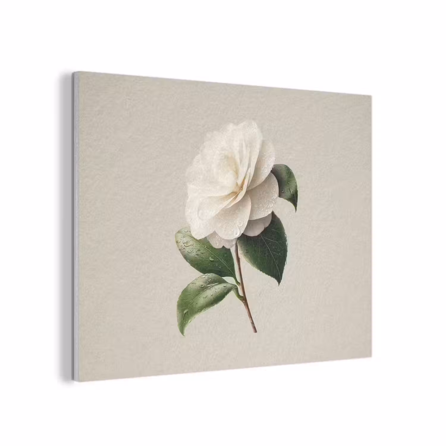 Cameliabloem - Wit - Groen PET vilt klein -3d