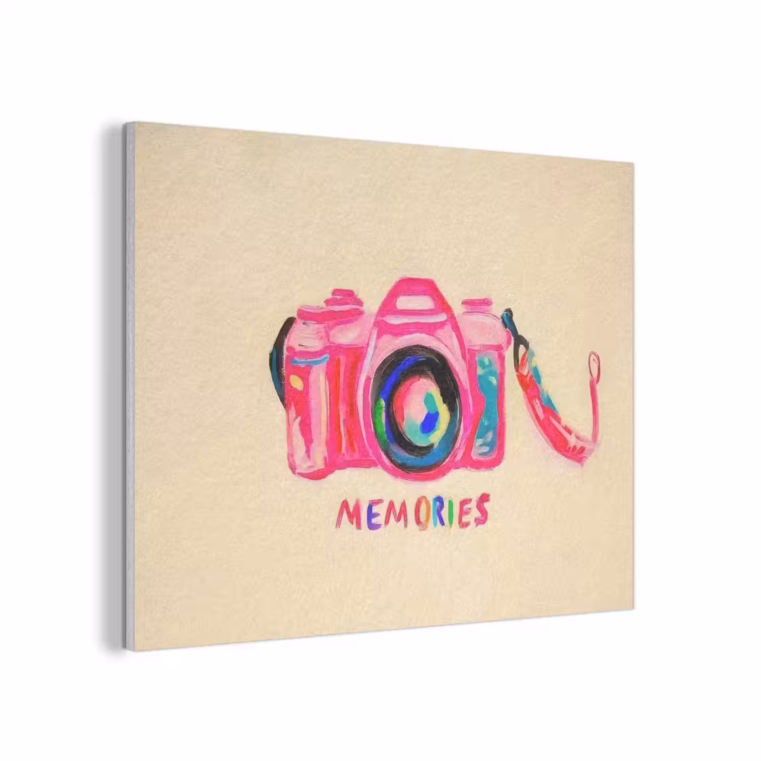 Camera - Memories - Roze - Geschilderd PET vilt klein -3d