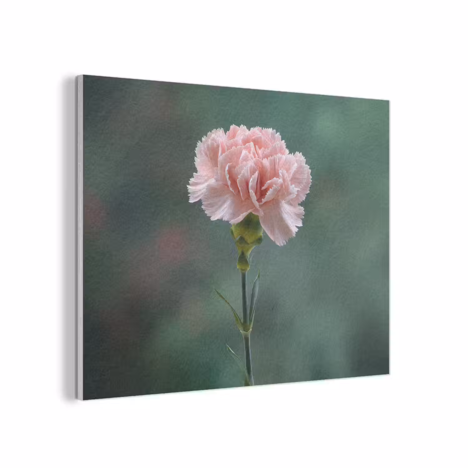 Anjer - Roze - Bloemblaadjes PET vilt klein -3d