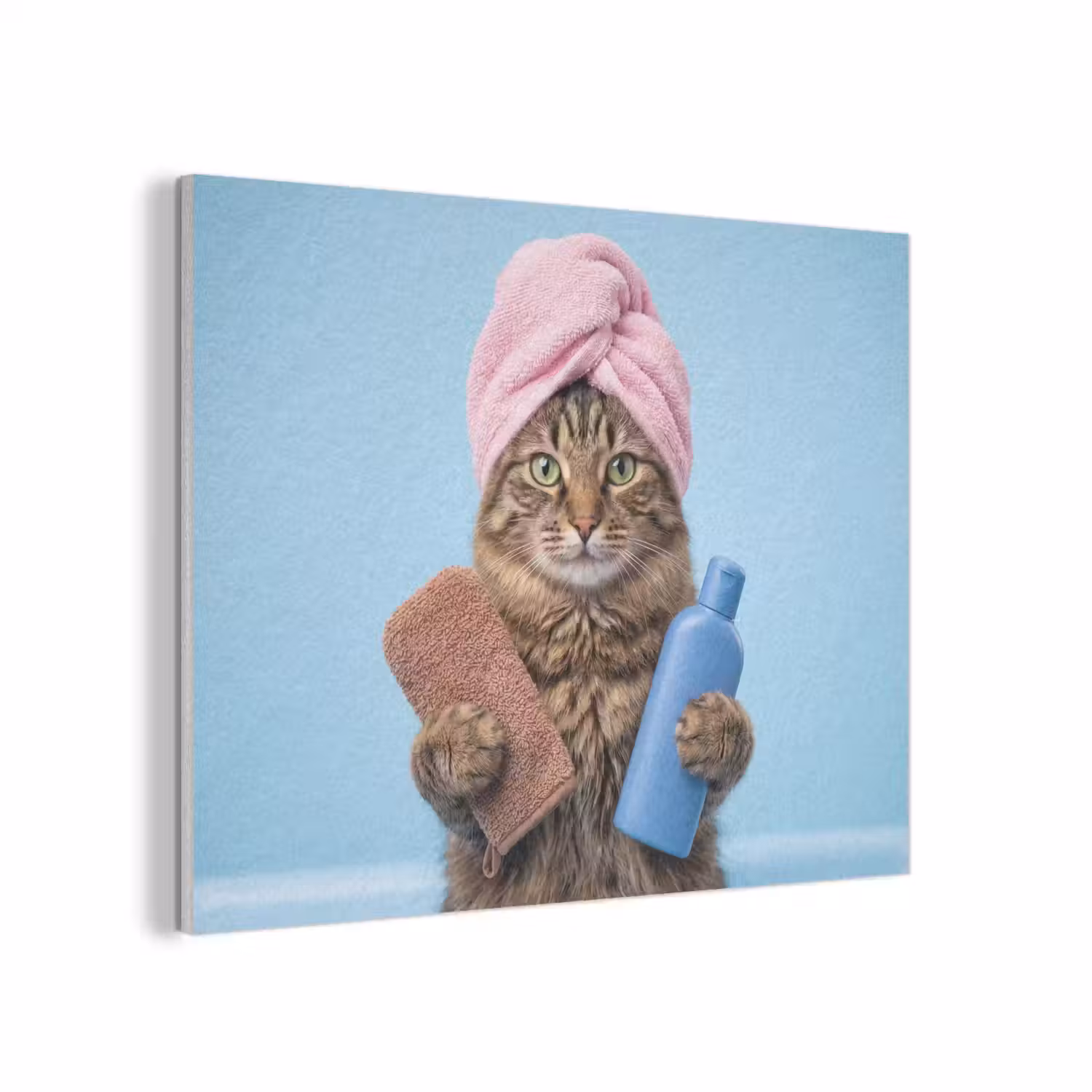 Kat - Handdoek - Washand - Zeep PET vilt klein -3d
