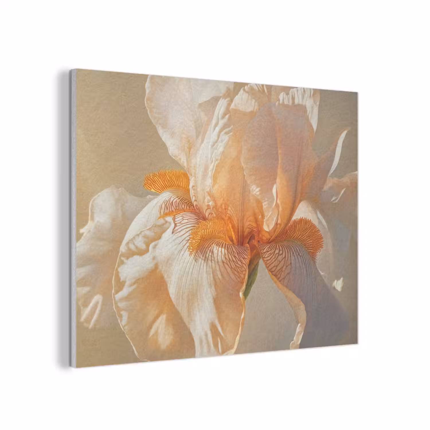 Close up - Oranje - Iris PET vilt klein -3d