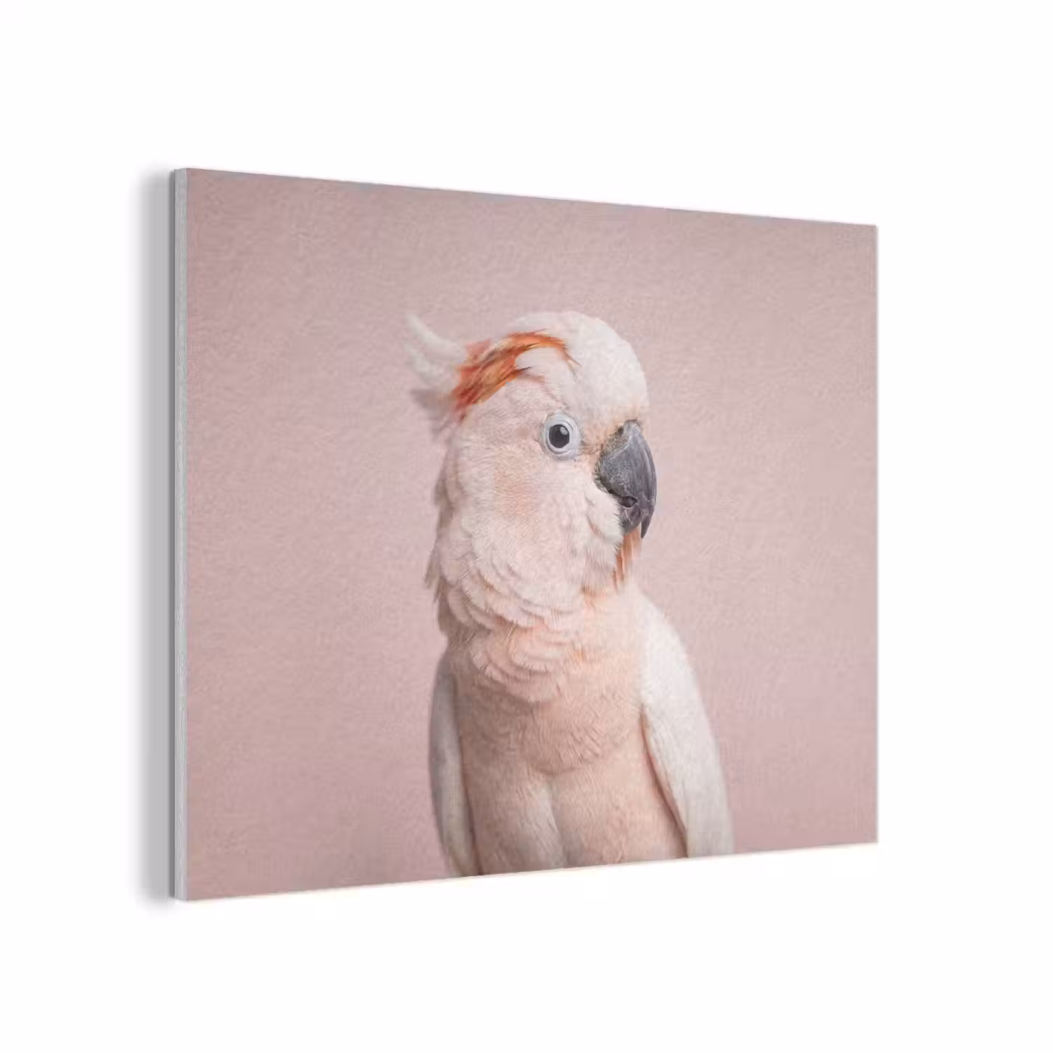 Kaketoe - Portret - Roze PET vilt klein -3d