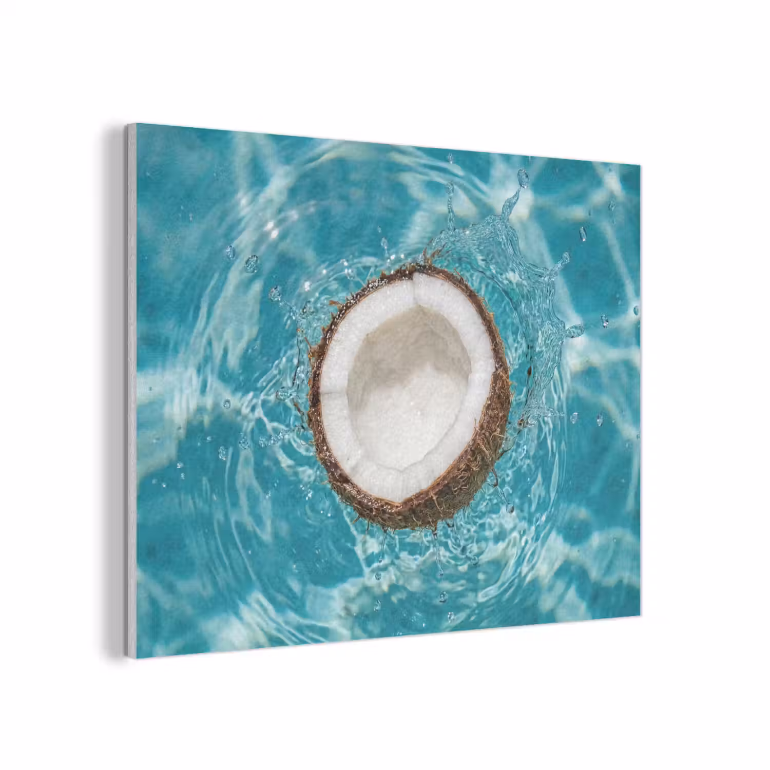 Kokosnoot - Water - Wit PET vilt klein -3d