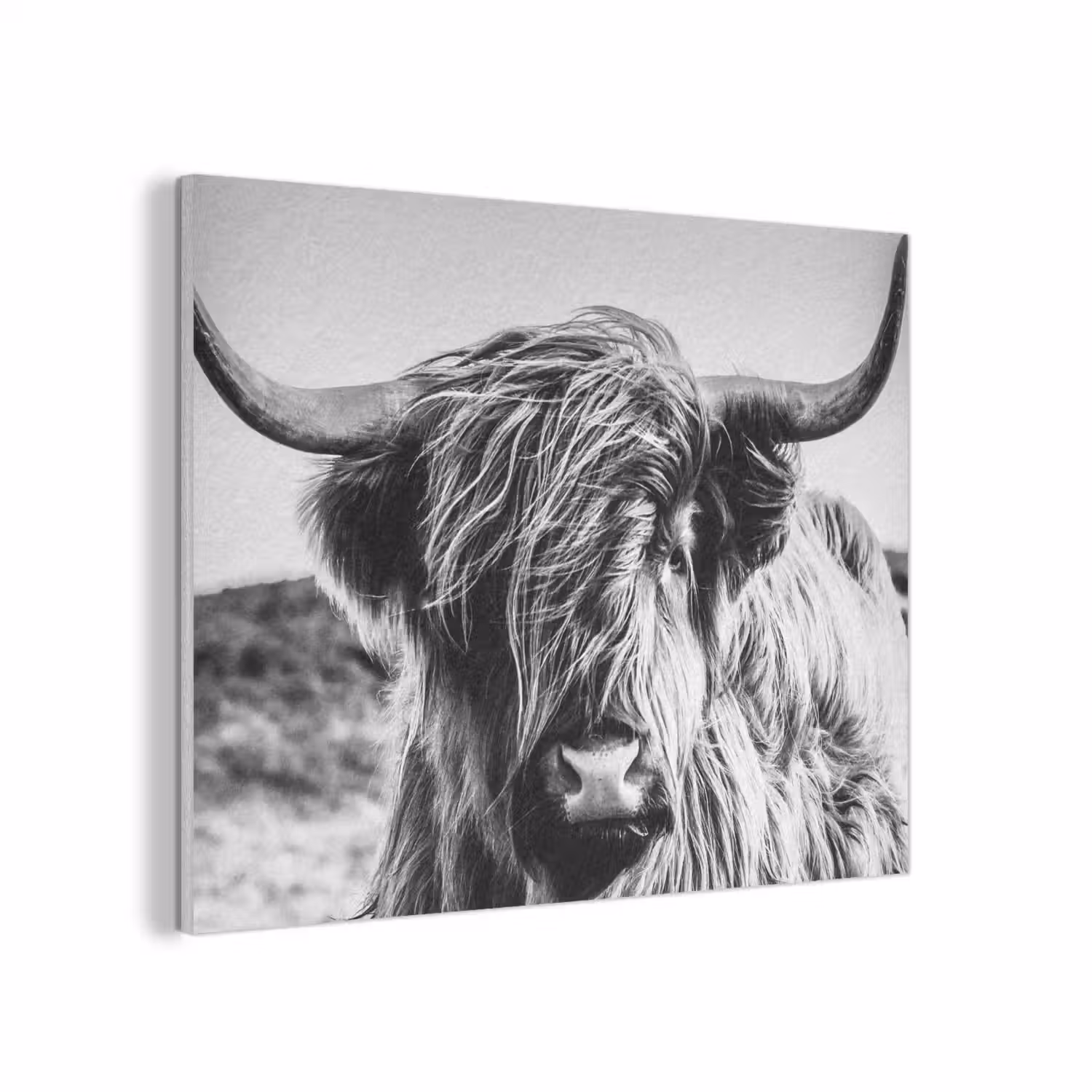 Koe - Schotse hooglander - Zwart - Wit - Dier - Natuur - Wild PET vilt klein -3d