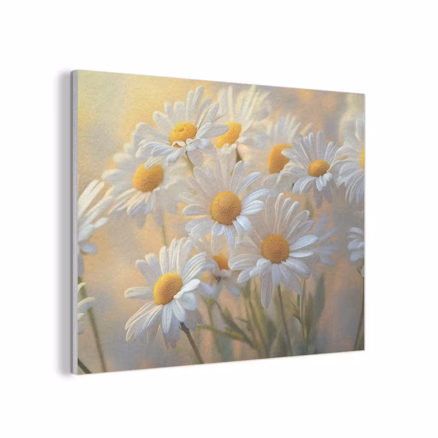 Madeliefjes - Wit - Zonlicht PET vilt klein -3d
