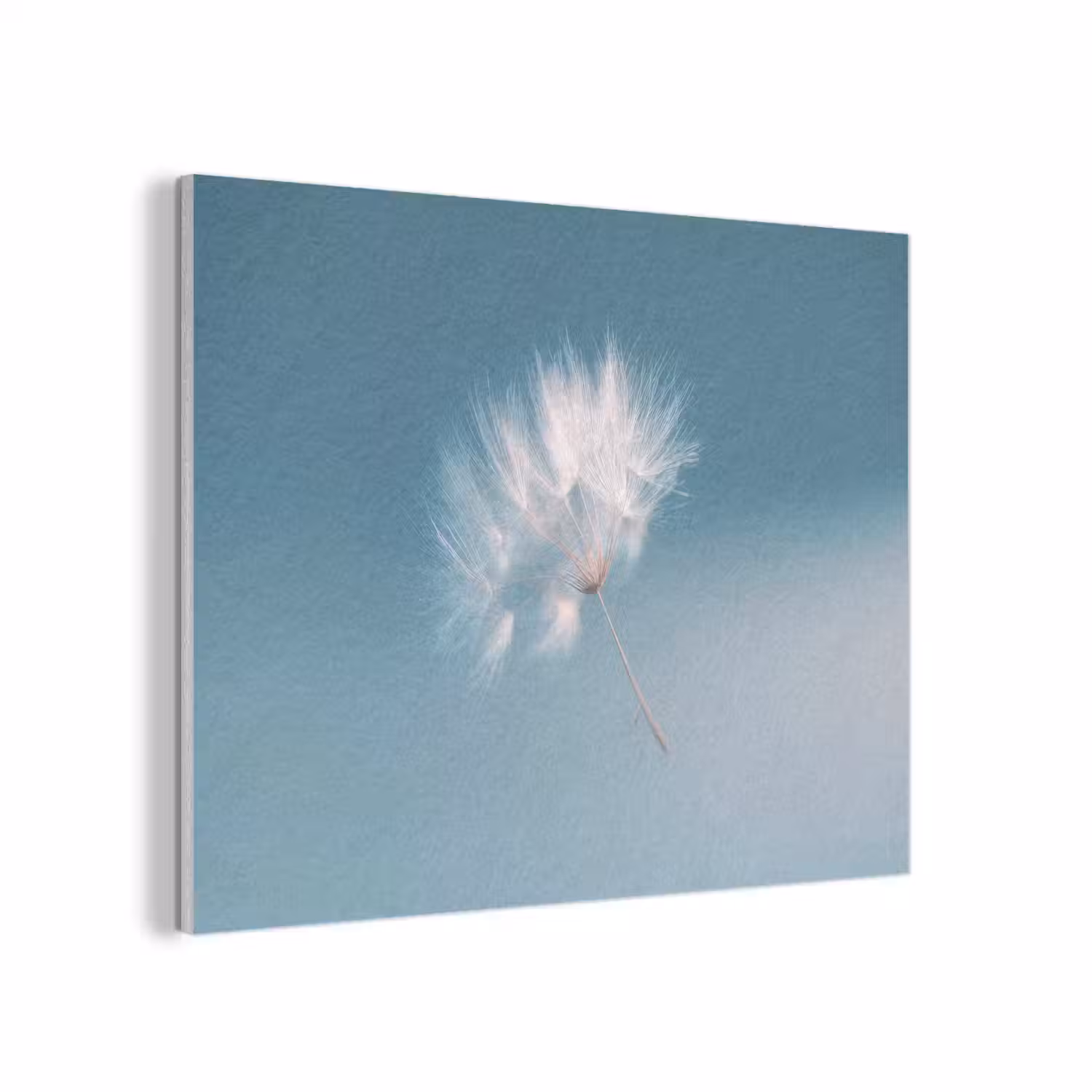 Paardenbloempluisje - Blauw - Lucht PET vilt klein -3d