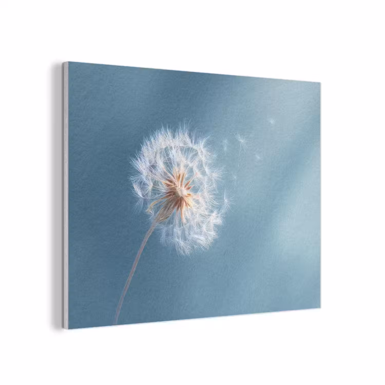Paardenbloem - Wind - Blauw PET vilt klein -3d