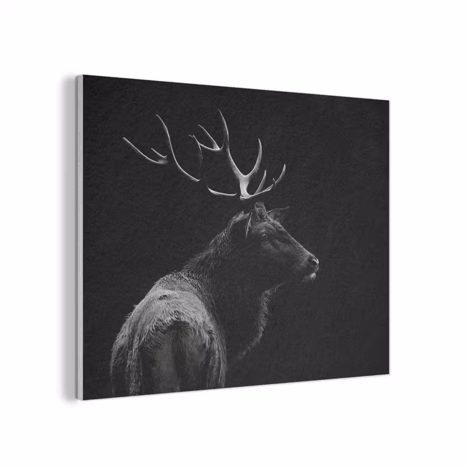 Hert - Zwart - Portret - Gewei - Dieren PET vilt klein -3d