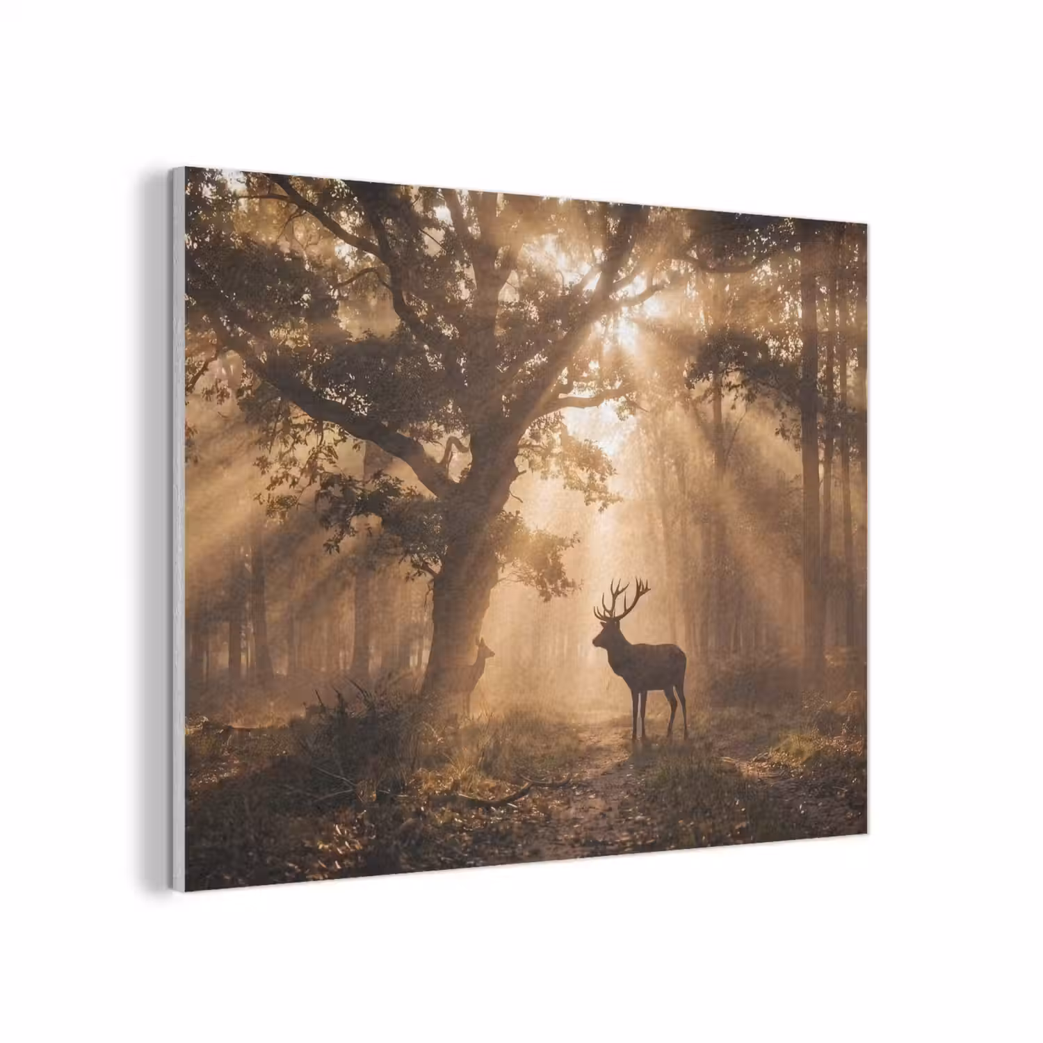Hert - Bos - Mistig - Natuur - Goud PET vilt klein -3d