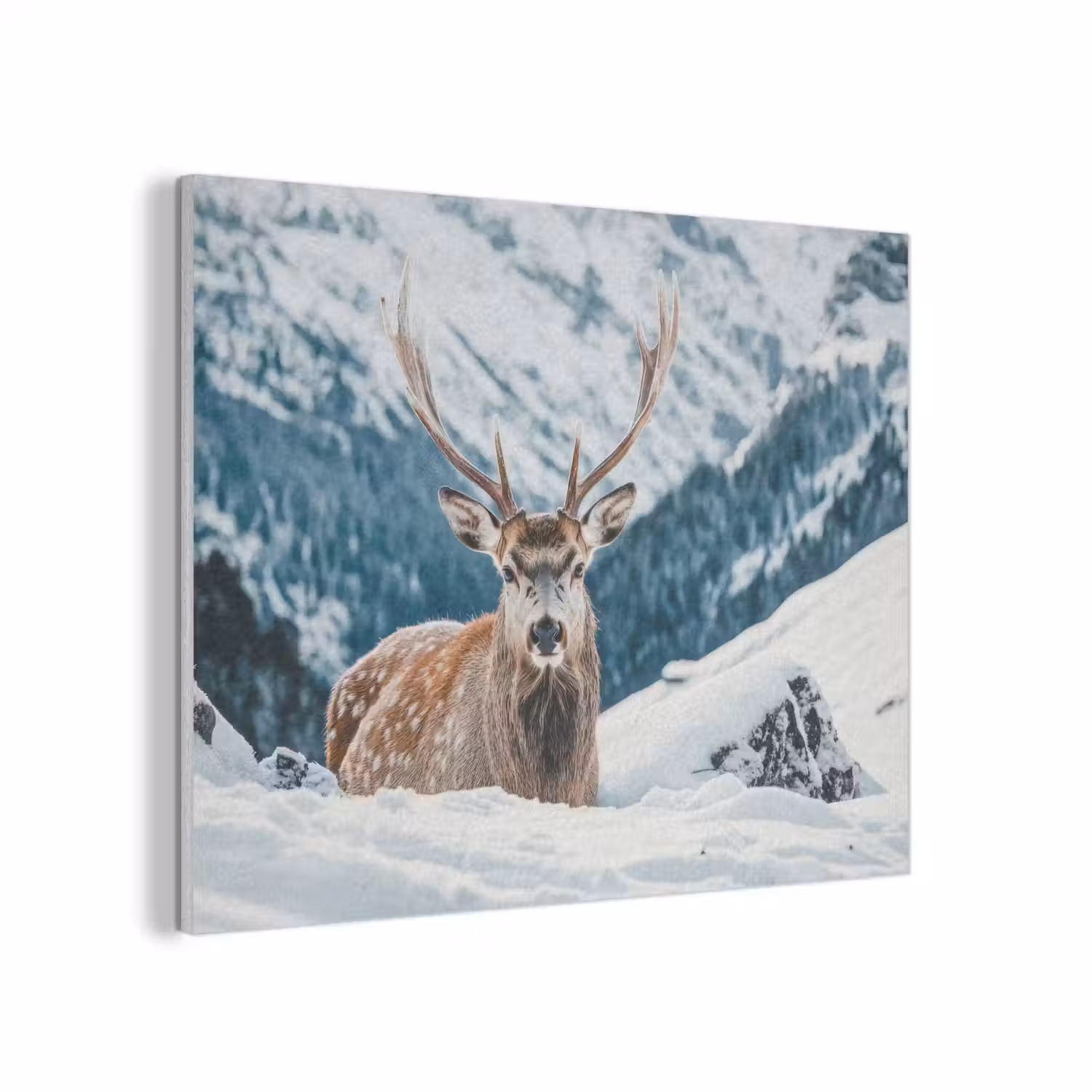 Hert - Landschap - Winter - Natuur - Dieren - Bergen PET vilt klein -3d