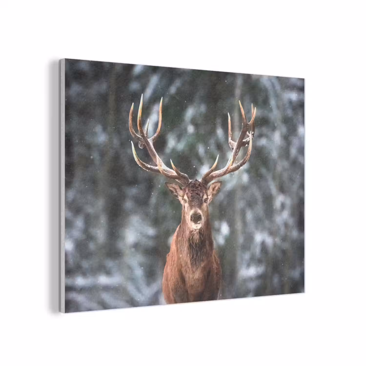 Hert - Winter - Sneeuw - Bos - Natuur - Dier PET vilt klein -3d
