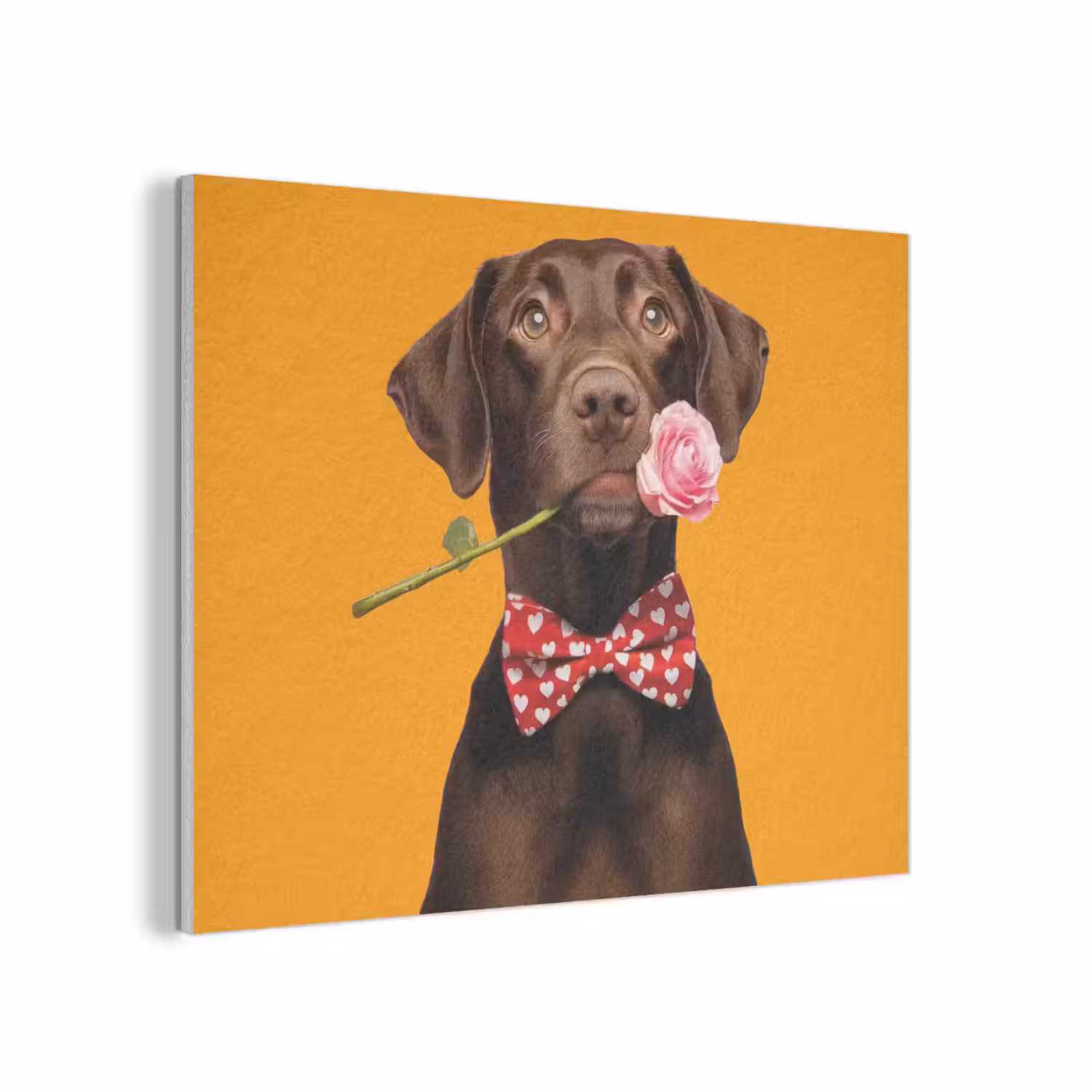 Hond - Oranje - Roos - Valentijn PET vilt klein -3d