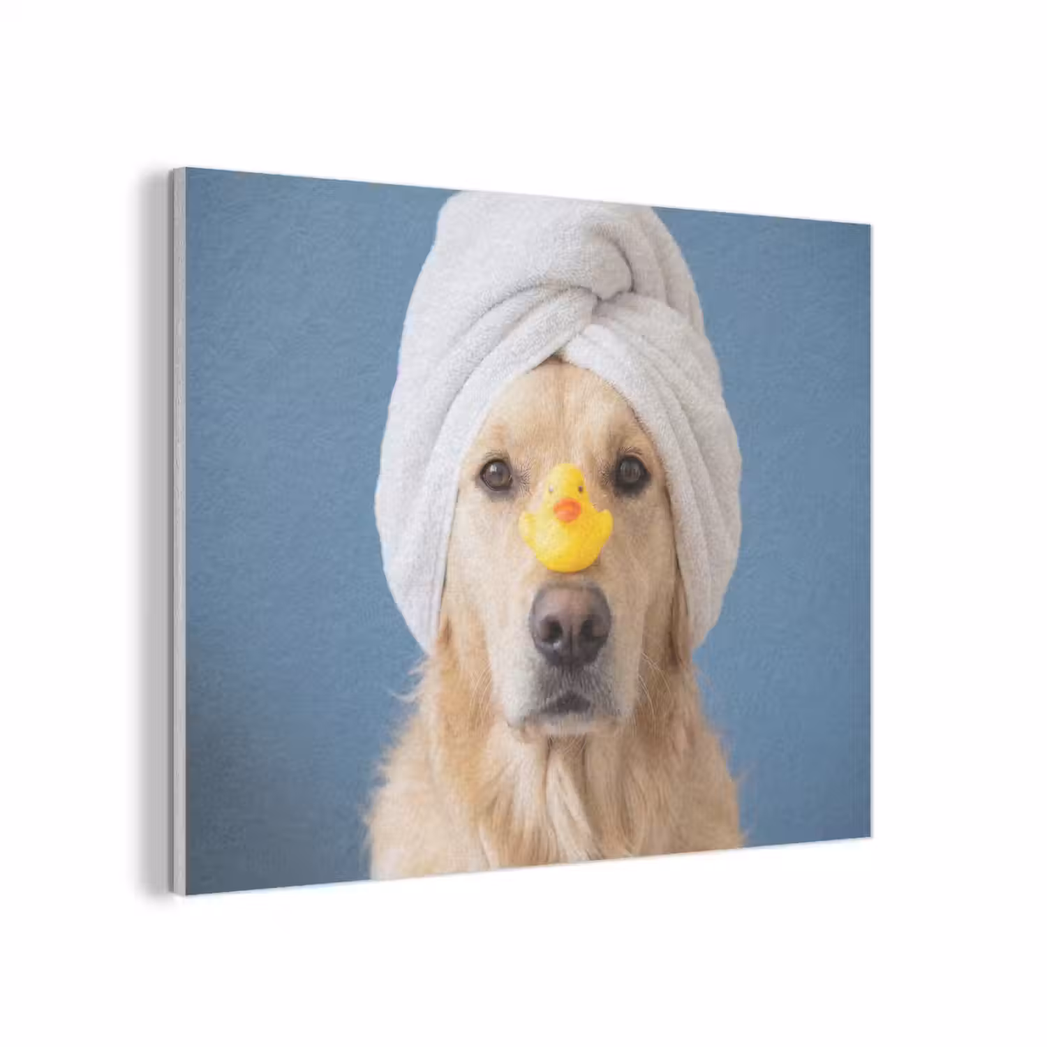 Hond - Badeend - Geel PET vilt klein -3d