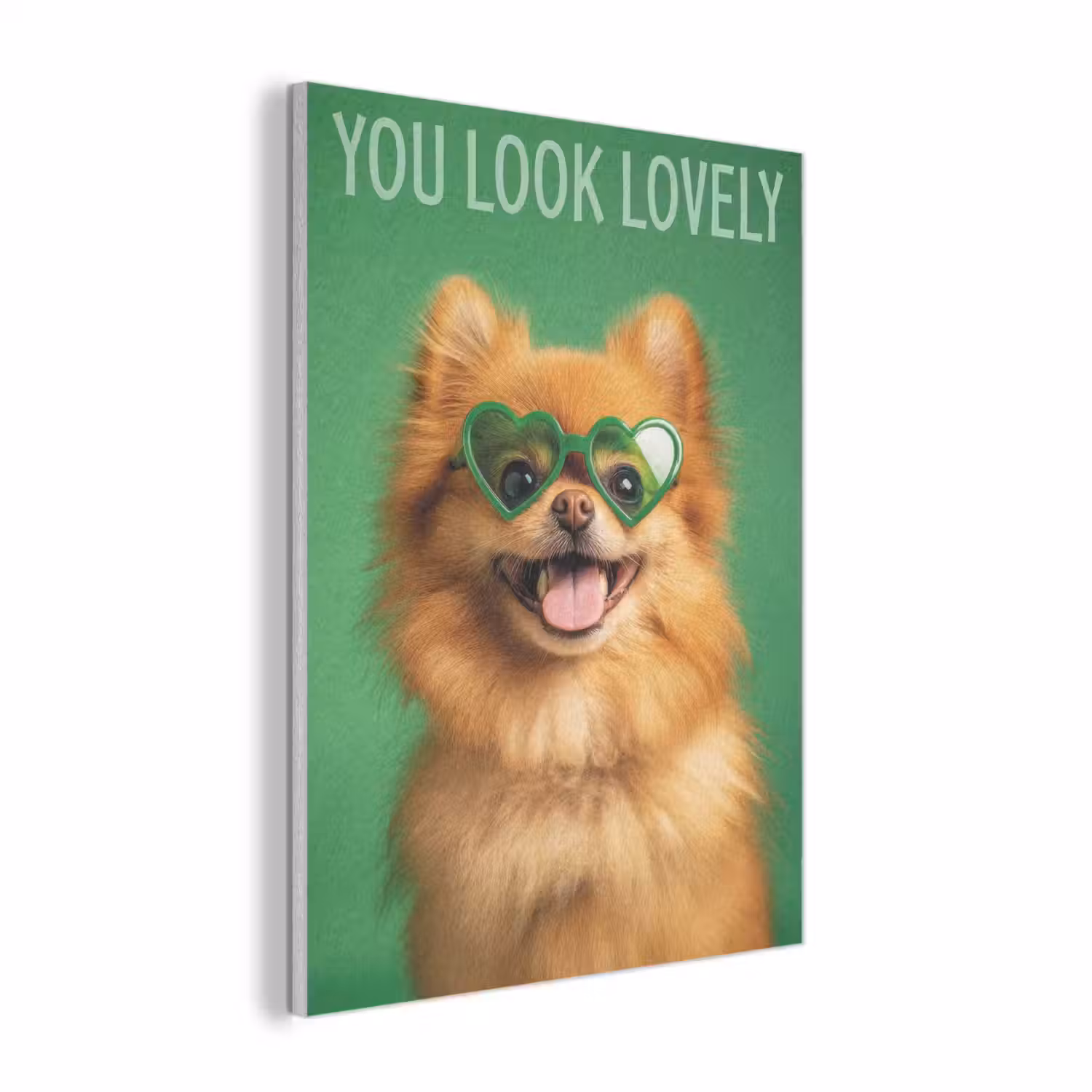 Hond - Zonnebril - Valentijn - Love PET vilt klein -3d