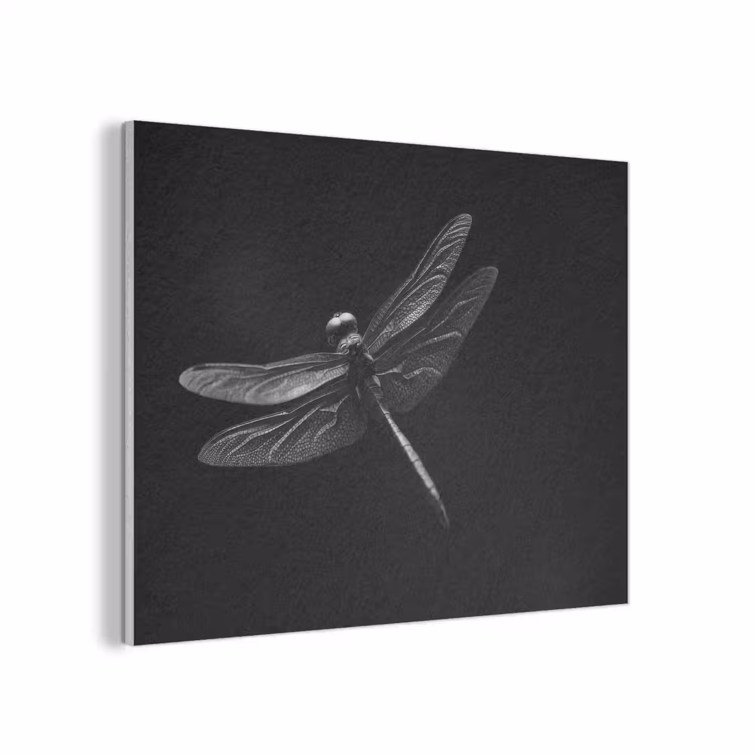 Libelle - Dieren - Zwart - Insect PET vilt klein -3d