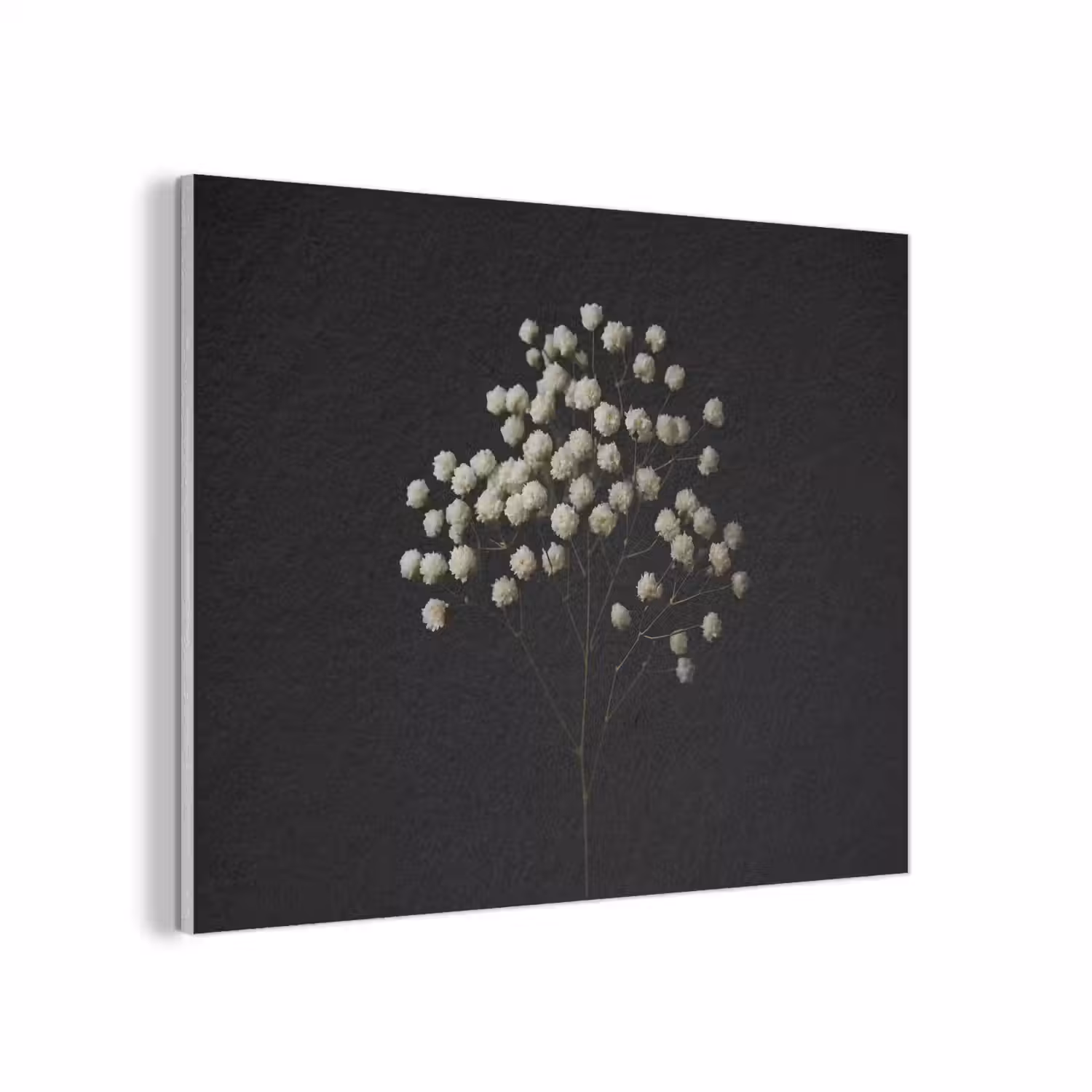Gipskruid - Bloemetjes - Wit - Minimalistisch PET vilt klein -3d