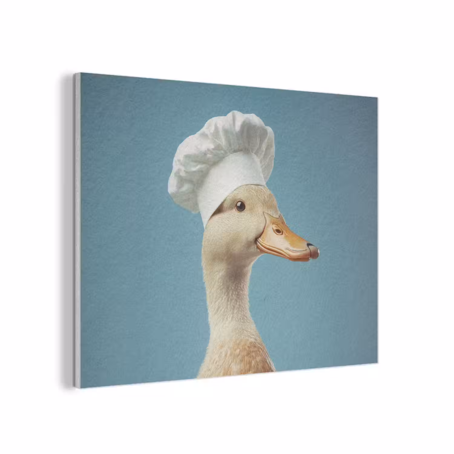 Eend - Koksmuts - Cute - Vogel PET vilt klein -3d