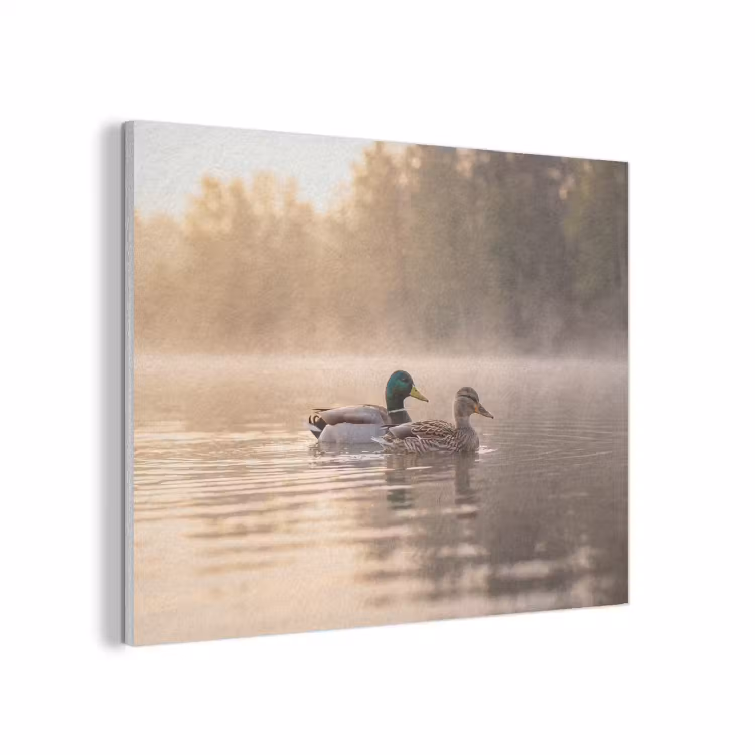 Eenden - Water - Mist - Natuur PET vilt klein -3d