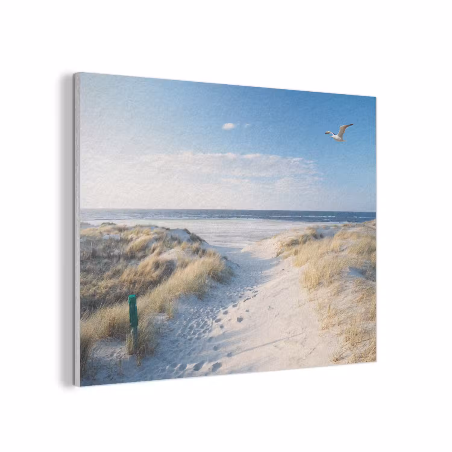Duin - Meeuw - Strand - Zee - Zon PET vilt klein -3d