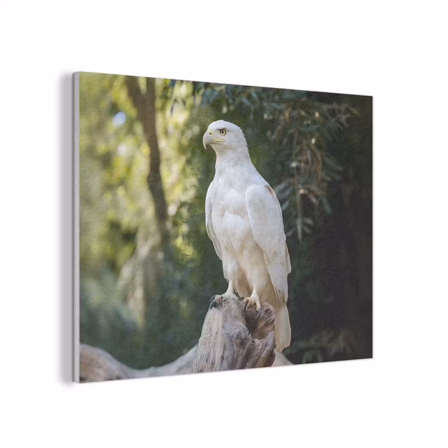 Arend - Hout - Wit - Planten PET vilt klein -3d
