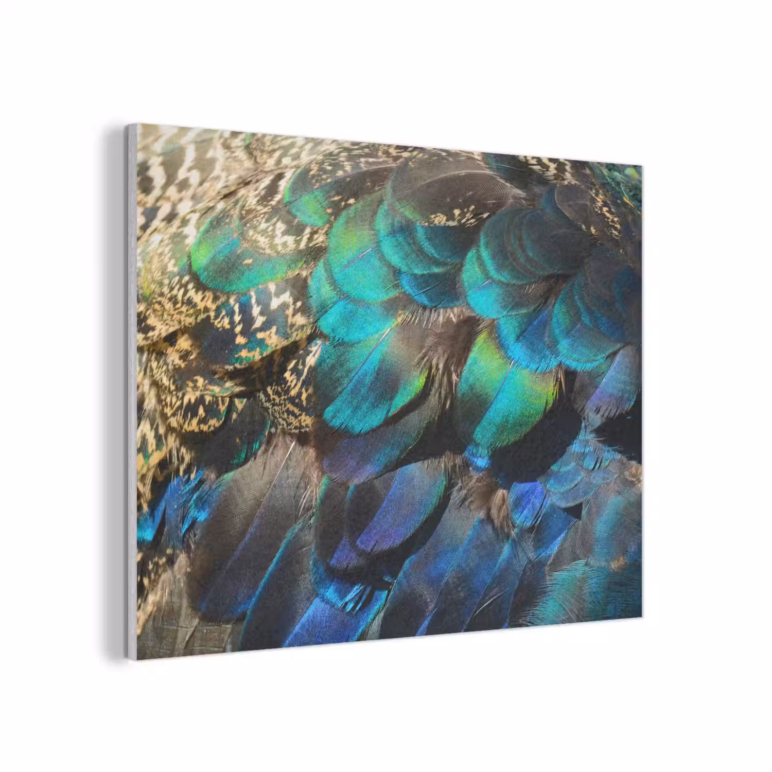 Veren - Pauwveren - Pauw - Blauw - Kunst PET vilt klein -3d
