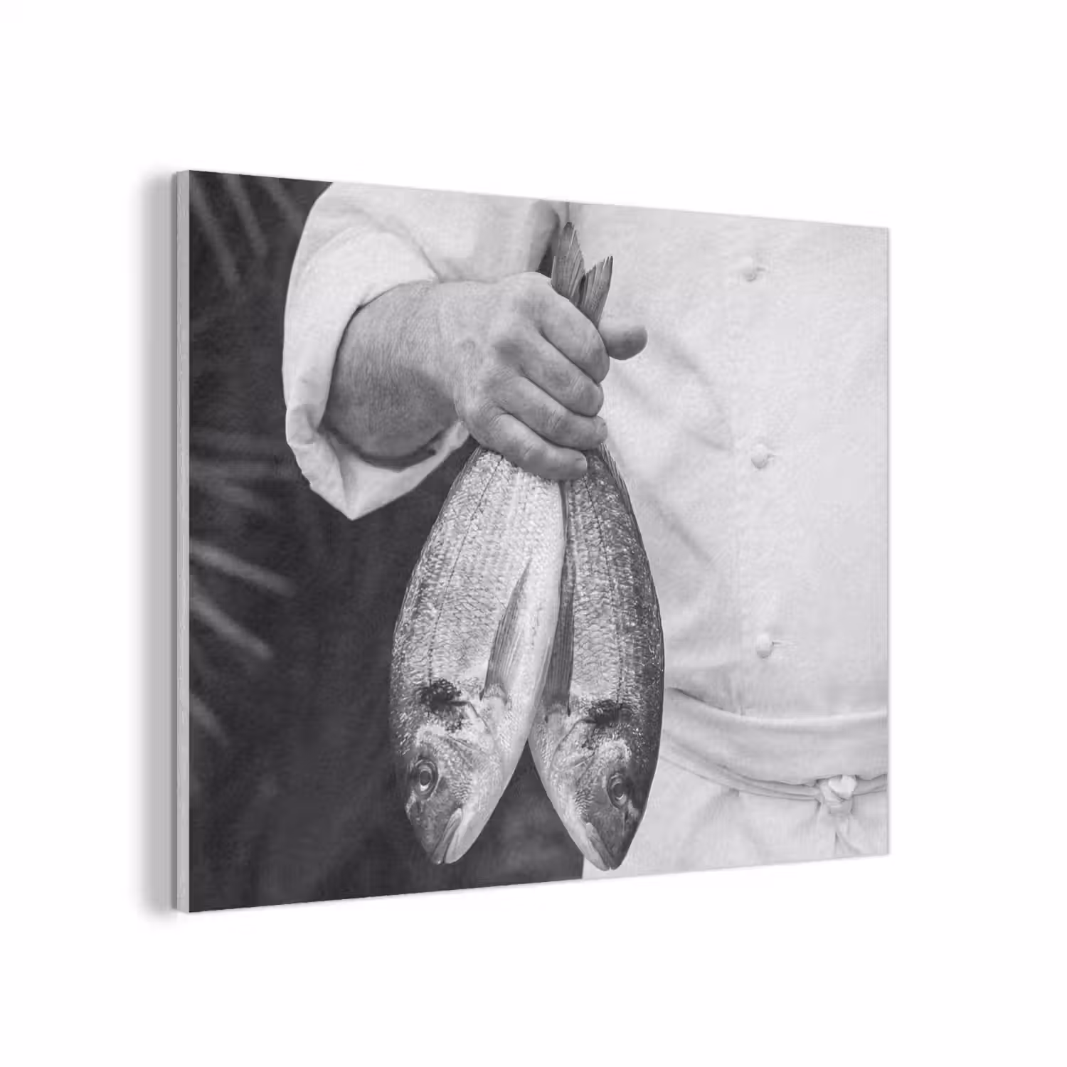Vissen - Chef - Zwart - Wit PET vilt klein -3d